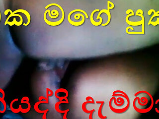 Toy Boy Part 5 : Oi that's the wrong hole, Ammooo