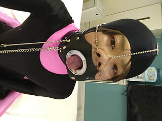 A cross-dressing boy turned into a female pig with pink full-body tights and a nose hook, and was further domesticated with a collar and gag shackles.