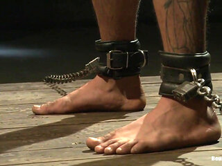 The Legend, the Present and the Future