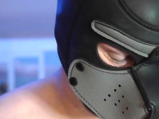 Cocksucker Cuckold in Chastity Pleasing Mistress