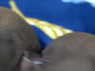 Desi Indian Kavita Close up Creampie Fuck with Shaved Pussy and Pussy Licking Close up and Blowjob