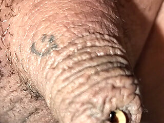 A small. up close