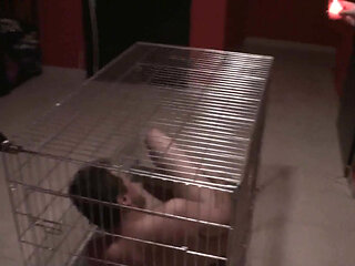 Poked and spitted all over him