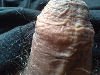 gay airs out his hard cock just for fun.