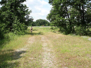 Za Za Slave Training with a Bucket of Pussy