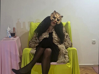 New kitten is on the block - teaser video