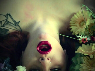 Like Your French Girl