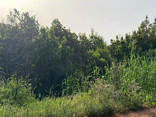 I Have Outdoor Sex with Perfect Body Latina I Find on the Street - Lola Bratz