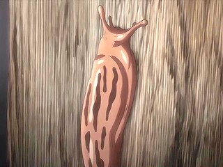 Shameless Subtle Body_24071901p0