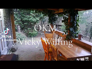 Vicky Wilfing recommendation