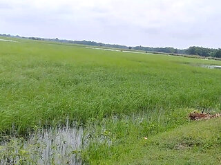Today is very beautiful day.I'm going to outside in bike ri but weather is not good