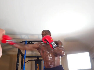 Boxing Workout the Main Adaptations That Occur From Resistance Training Include Stabilization, Muscular Endurance, Hypertrophy
