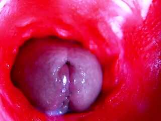 Extreme close-up ASMR head inside wet pussy