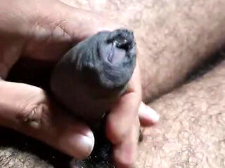 Hard fucking for you pussy..