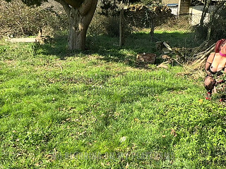 Easter Bunnies