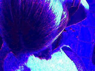 Real blonde amateur giving a POV blowjob