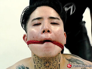 Yoshikawasakixxx - Bound Yoshi Kawasaki Enjoys Extreme Shibari Session