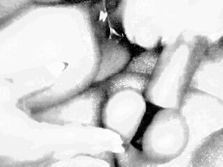 Buddy getting sucked good