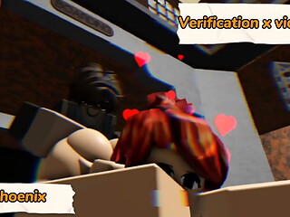 Verificaci&oacute_n x videos