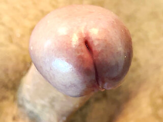 I Show You My Very Hard Cock. Do You Want to Fuck Me?