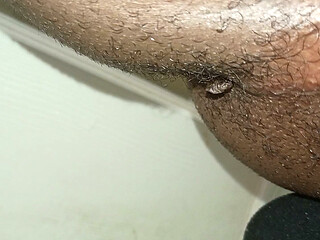 Ass lips and Pussy hole