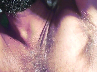 Gray Boxer and White Socks (video 1)