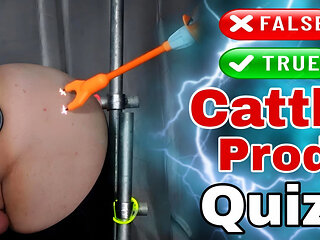 True or False Cattle Prod Quiz with My Femdom Slave