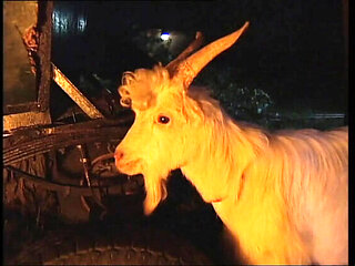 Naked Woman On Fire Vol.4 Full Movie - Claudia Jamsson, Karli Sweet, Backey Jakic Anal, Big Tits, Blowjob, HD Vintage