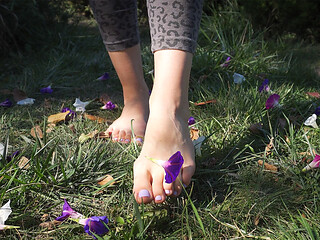 Crushing Flowers Barefoot in the Grass
