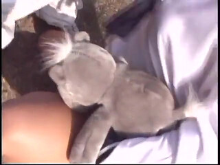 Blonde babe gets on her knees outside to suck cock and to get fucked