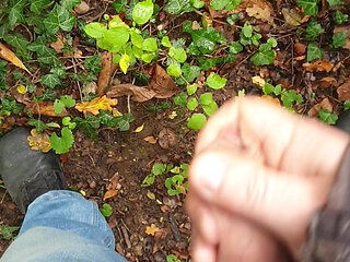 Wixxing in the forest