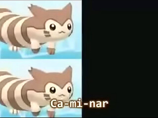 Pokemon cancion caminar