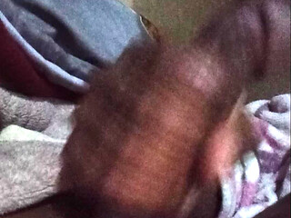 Morning Glory