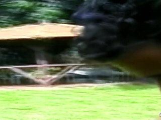 Blonde Tranny Gets Secretly Fucked in the Woods in Her Tight Asshole