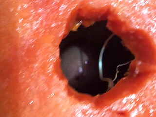 Second fruit video