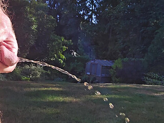 Sprinkler Day