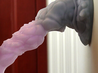 Training with my L-sized Nothosaur dragon dildo(10.6 in)