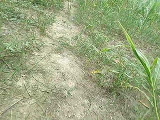Very handsome desi gay boys forest