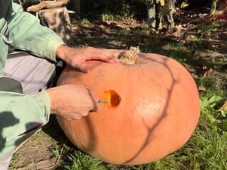 Naked guy pumps huge cock into Halloween pumpkin
