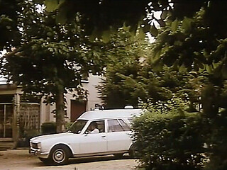 Sex Nurses (1979)