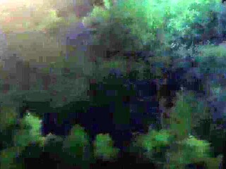 Forbidden Pleasure beyond control_161222p0001