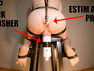 EXPERIMENT BULL MILKING - COCK POLISHER and ESTIM ANAL PROBE