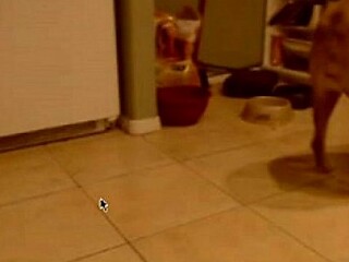 Blonde in panties cooks dinner