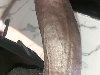 Full meat Cock