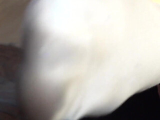 Harmony's Three Week Worn White Socks - Dreamgirls in Socks