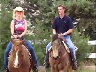 Datepornstar: Blowjob, Doggy  Cowgirl Porn