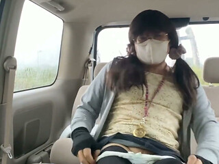 No. 317 Exhibitionism in the Car