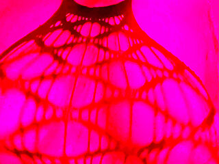 Just a Lil Teasing