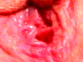 Goosh and Gush 5 - Soaked in Desire