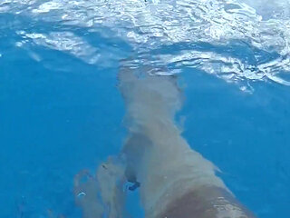 Let Me Bring You Into My Element